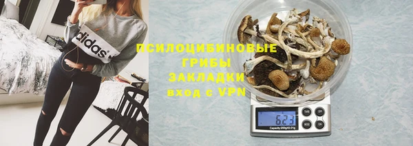 гашик Бронницы