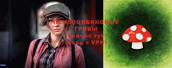 соль курить ск Бородино