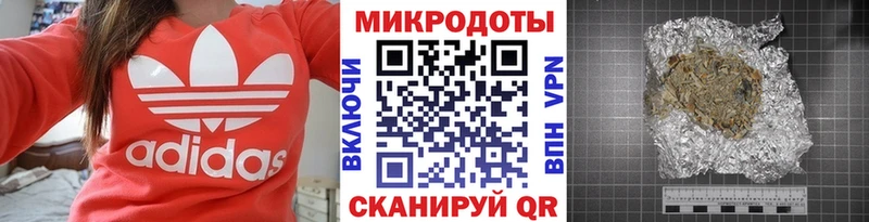 Псилоцибиновые грибы Psilocybine cubensis  Дедовск 